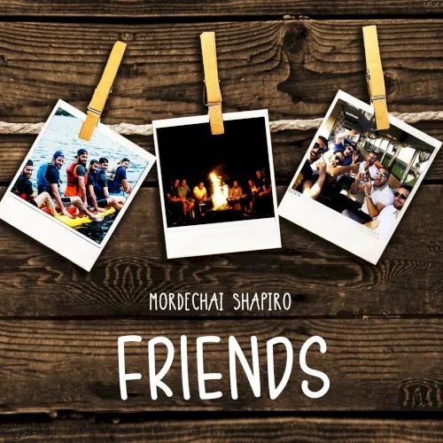 Friends cover