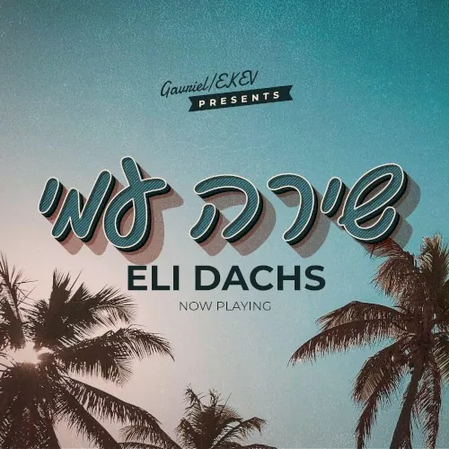 שירה עמי cover