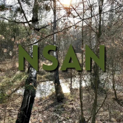 NSAN cover