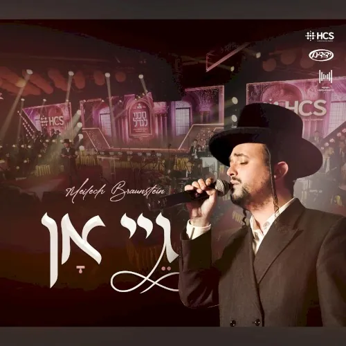 גיי אן cover