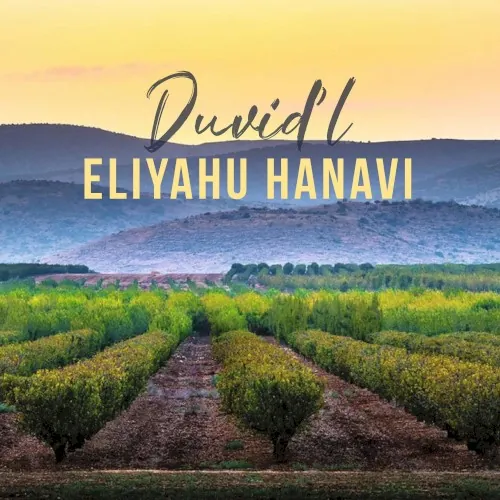 Eliyahu Hanavi cover