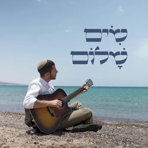 שים שלום cover