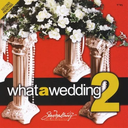 What a Wedding, Vol. 2 cover
