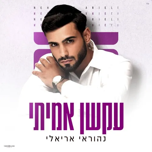 עקשן אמיתי cover