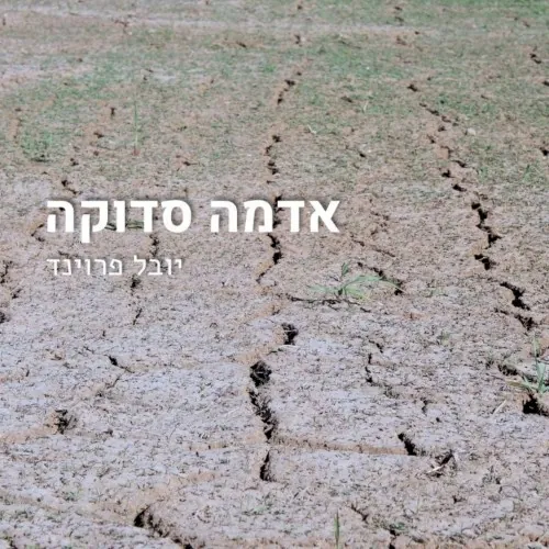 אדמה סדוקה cover