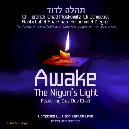 Awake the Nigun’s Light cover