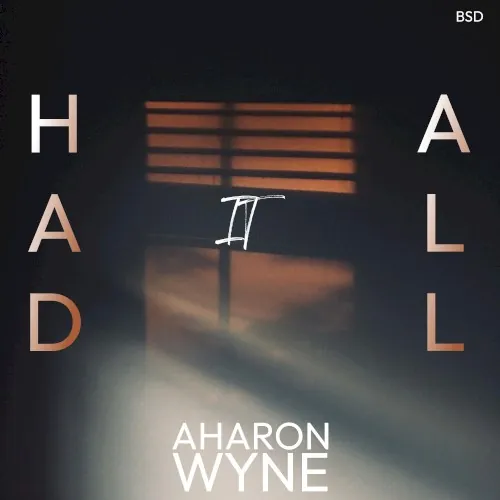 Had it All cover