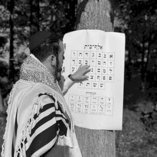 אלף בית cover