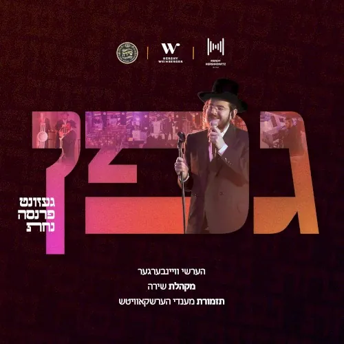 Gefen - גפן cover
