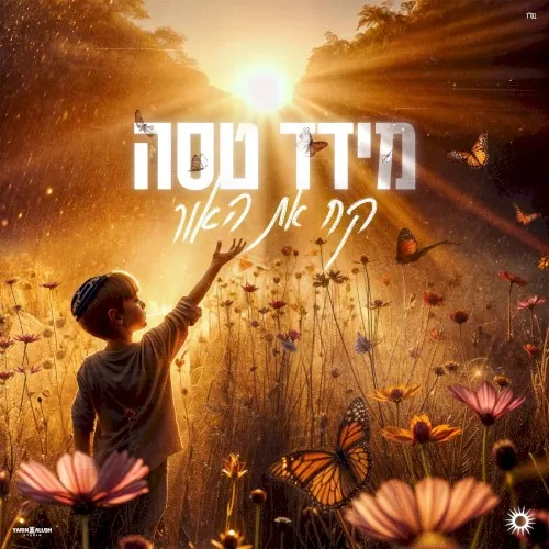 קח את האור cover