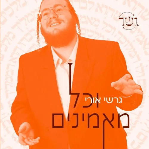 וכל מאמינים cover