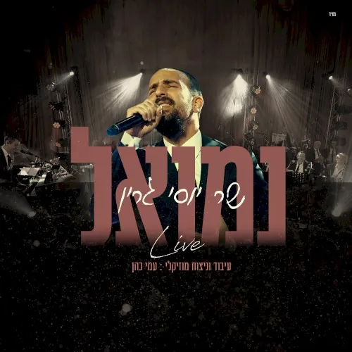שר יוסי גרין cover