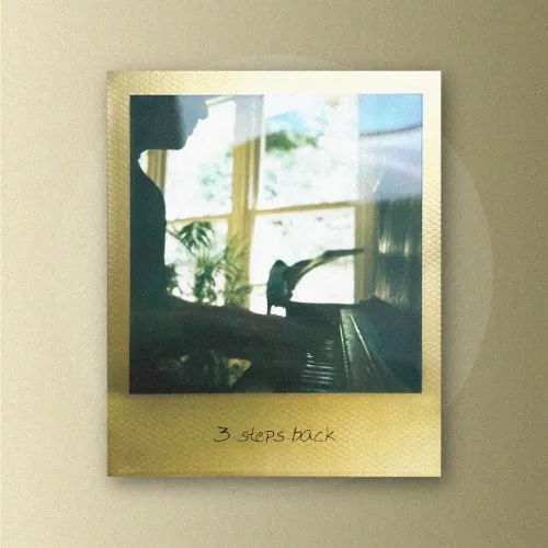 3 steps back cover