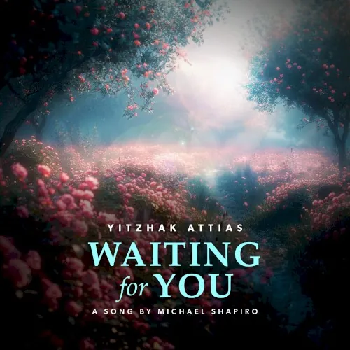 Waiting for You cover