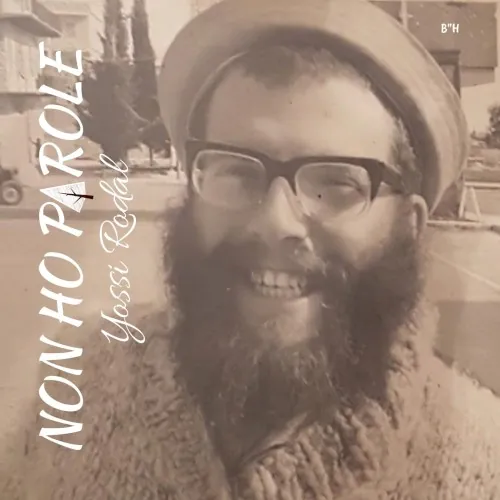 Non Ho Parole cover