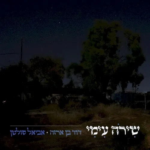 שירה עמי cover