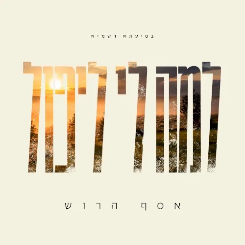 למה לי ליפול cover
