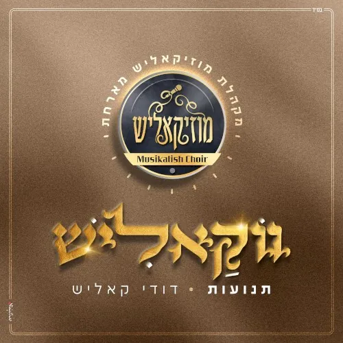 תנועות (ווקאלי) cover