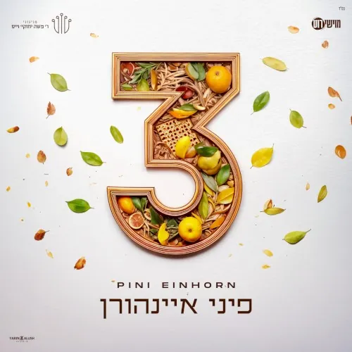 3 cover