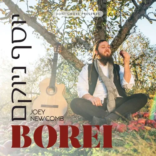 Borei cover
