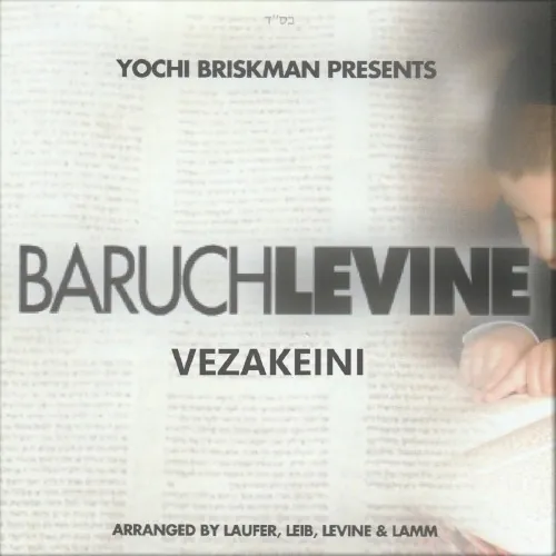 Vezakeini cover