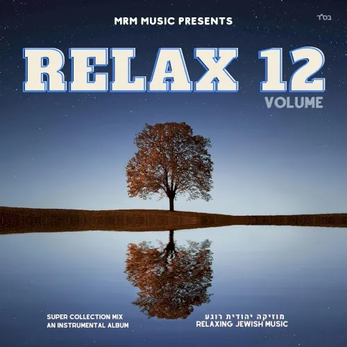 Relax, Vol. 12 cover