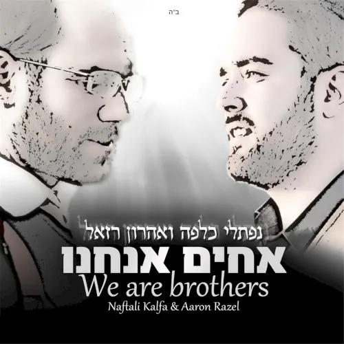 We Are Brothers cover