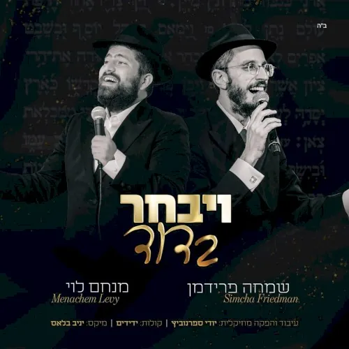 ויבחר בדוד cover