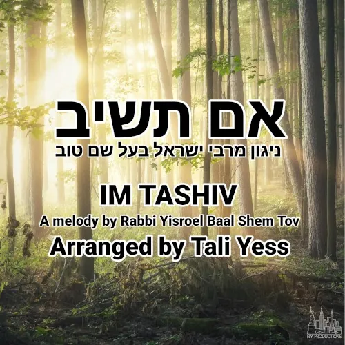 Im Tashiv Rabbi Yisroel Baal Shem Tov cover