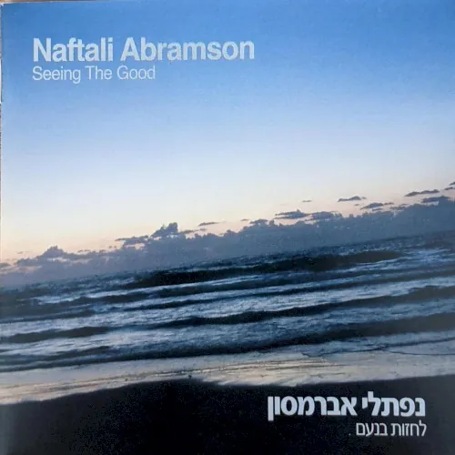לחזות בנעם cover
