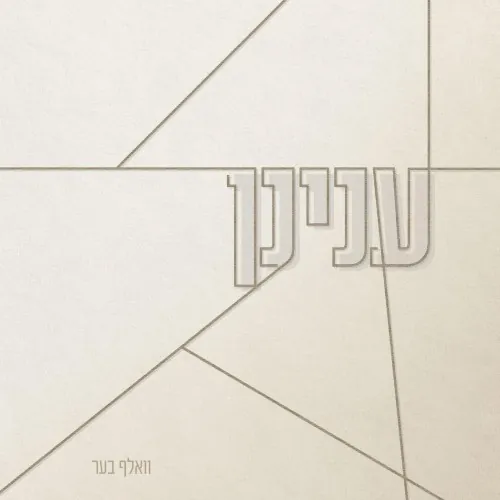 Aneinon cover