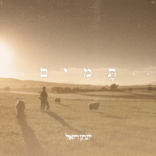 תמים cover