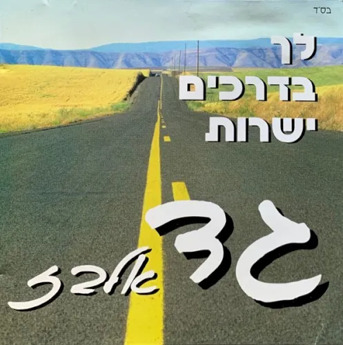 לך בדרכים ישרות cover