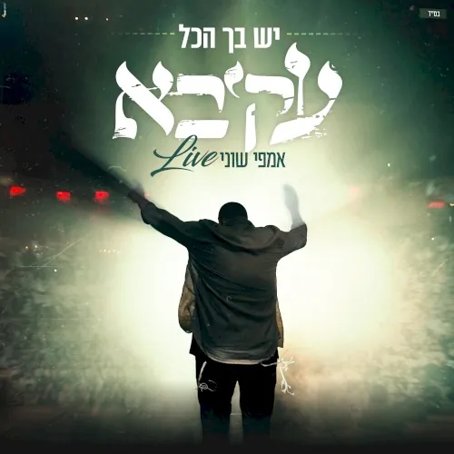 יש בך הכל - LIVE - אמפי שוני cover