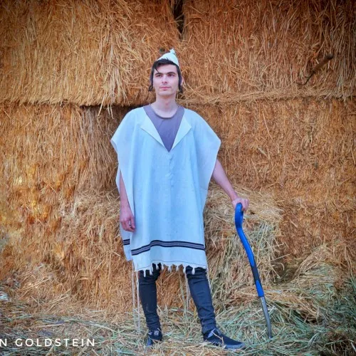 ניגון סאטמר cover