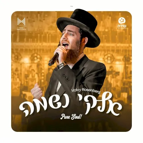 אלקי נשמה cover