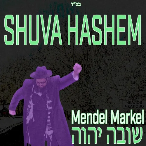 Shuva Hashem cover