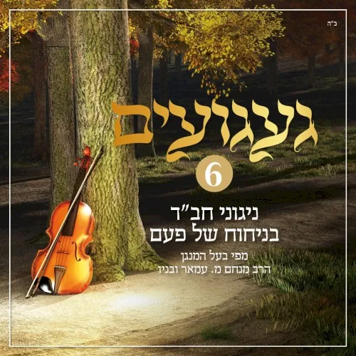 געגועים - ניגוני חב״ד 6 cover