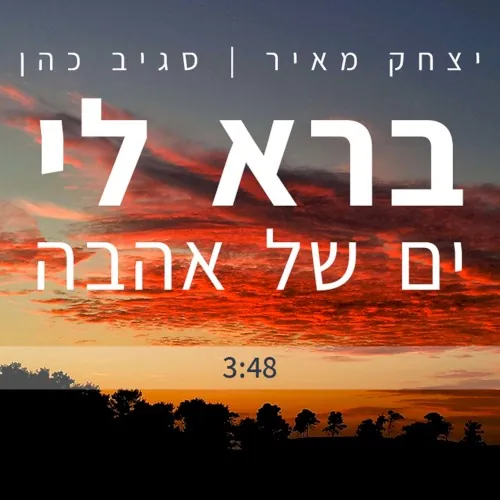 ברא לי ים של אהבה cover