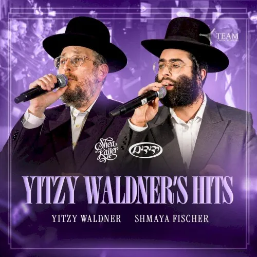 Yitzy Waldner's Hits cover