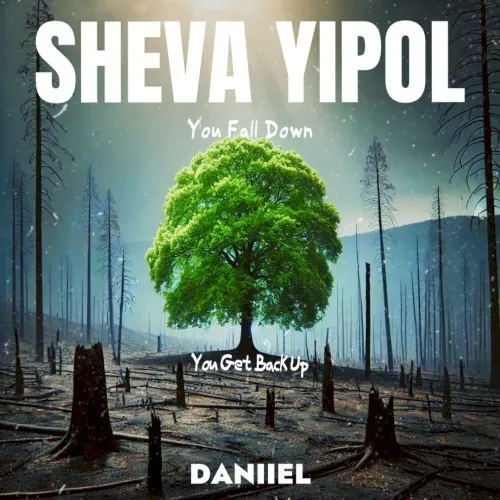Sheva Yipol cover