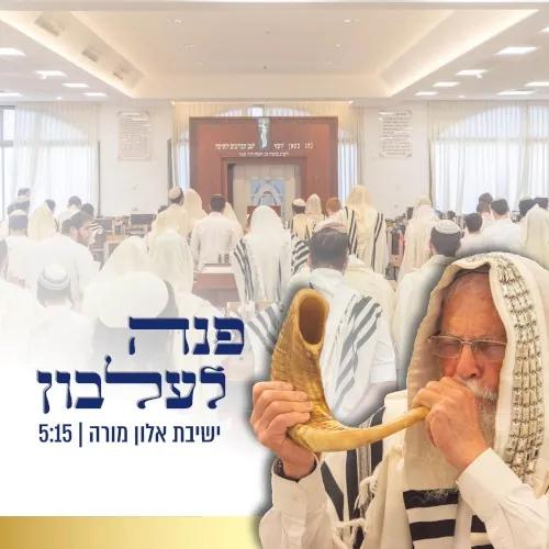 פנה לעלבון cover
