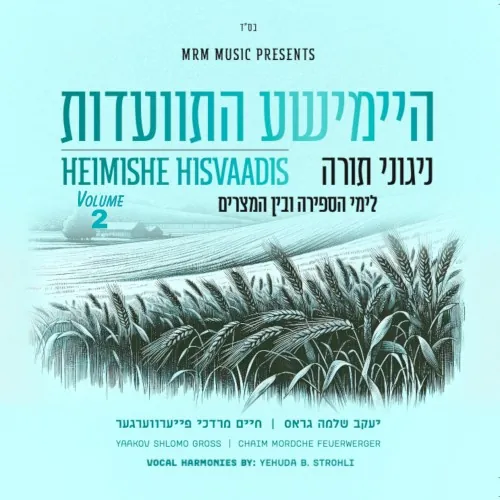 Heimishe Hisvaadis 2 cover