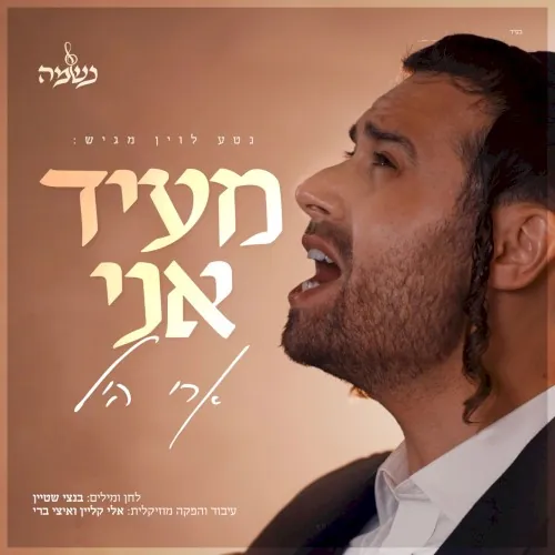 מעיד אני cover