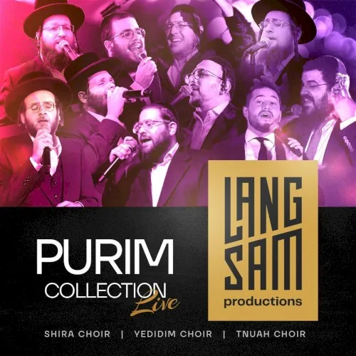 2025 Purim Collection cover