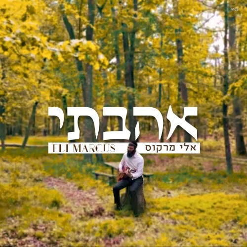Ahavti cover