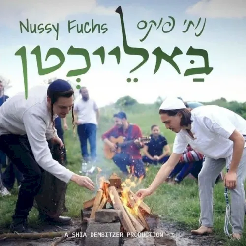 באלייכטן (Balachten) cover