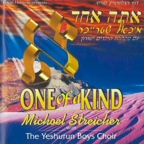 One of a Kind cover