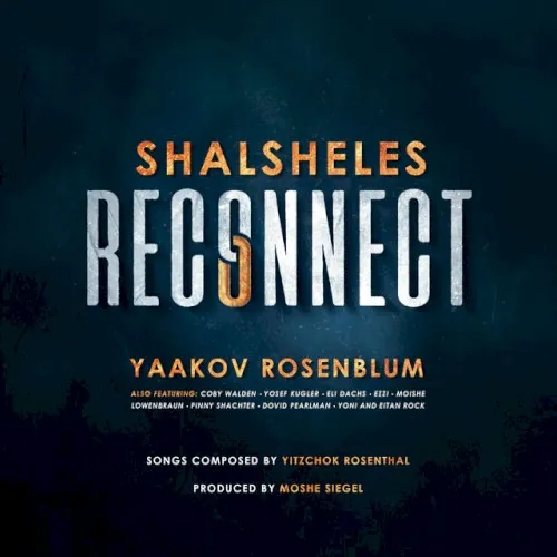 Shalsheles Reconnect cover