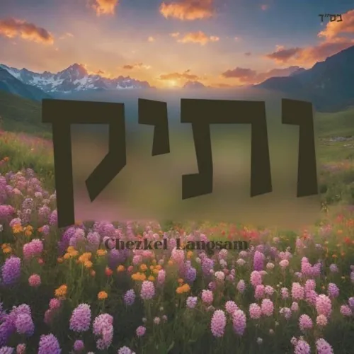 Vasik cover